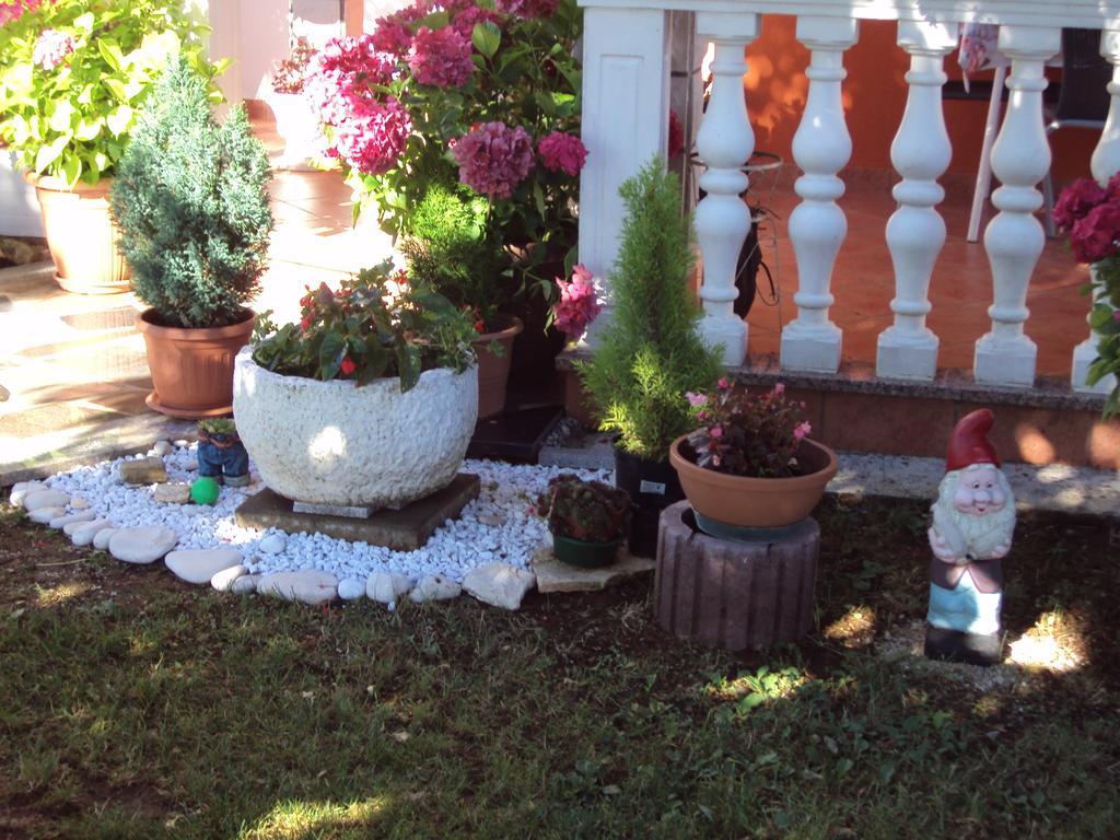 Apartment Gogo Umag Cameră foto