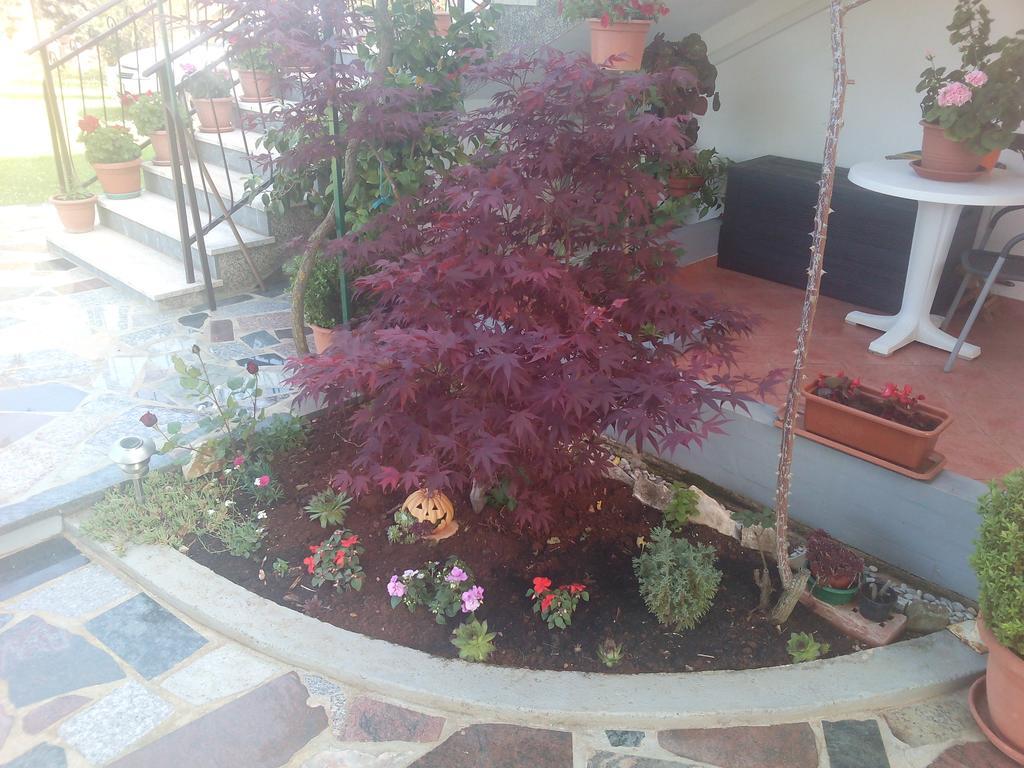 Apartment Gogo Umag Exterior foto